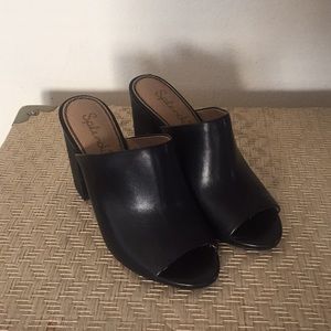 Black Splendid Mules
